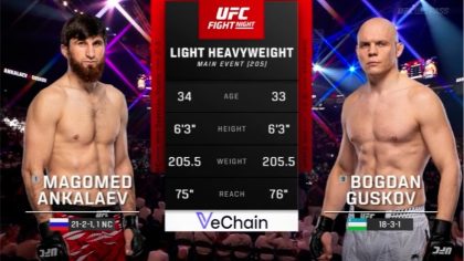 UFC Fight Night 282 screenshot