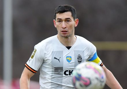 stepanenko_2023