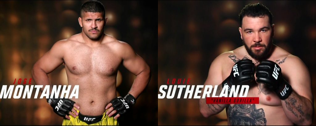 UFC Fight Night 284 screenshot