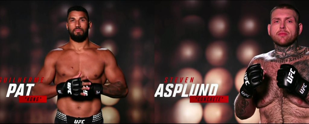 UFC Fight Night 284 screenshot