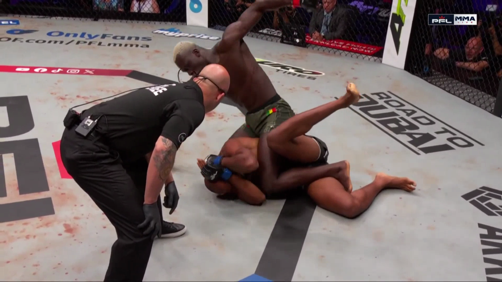 PFL New York Opener Screenshot