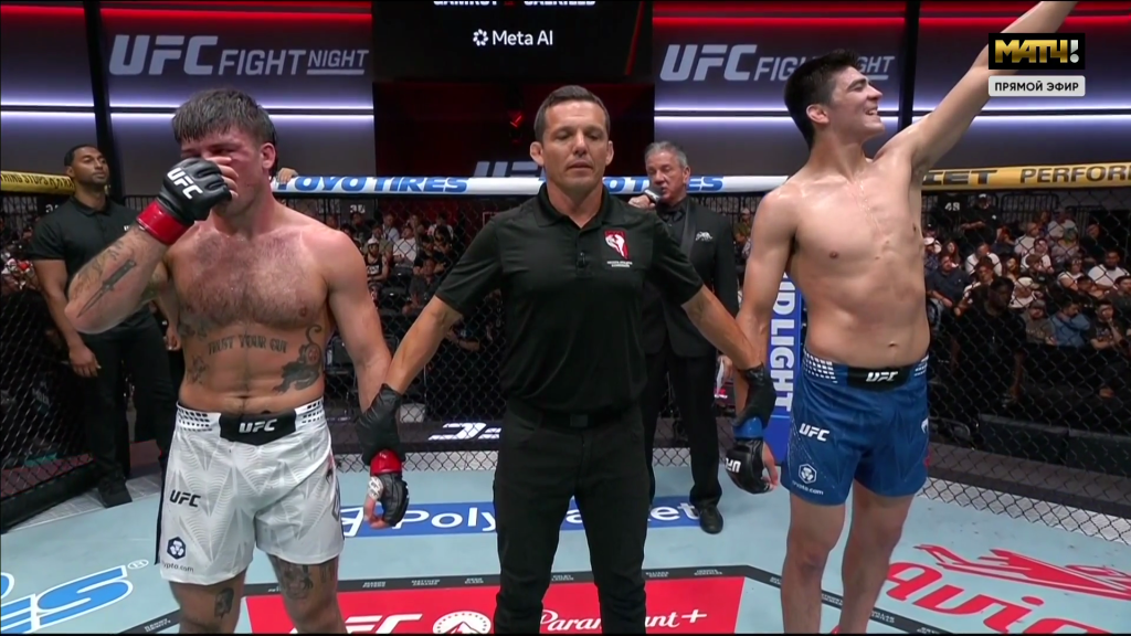 UFC Fight Night 284 screenshot