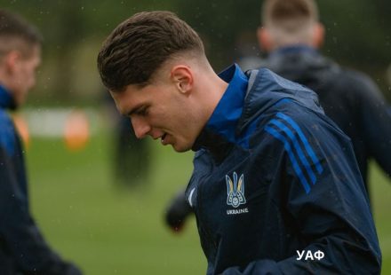 sudakov_uaf