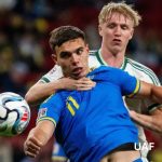 ukraine_nirl2026
